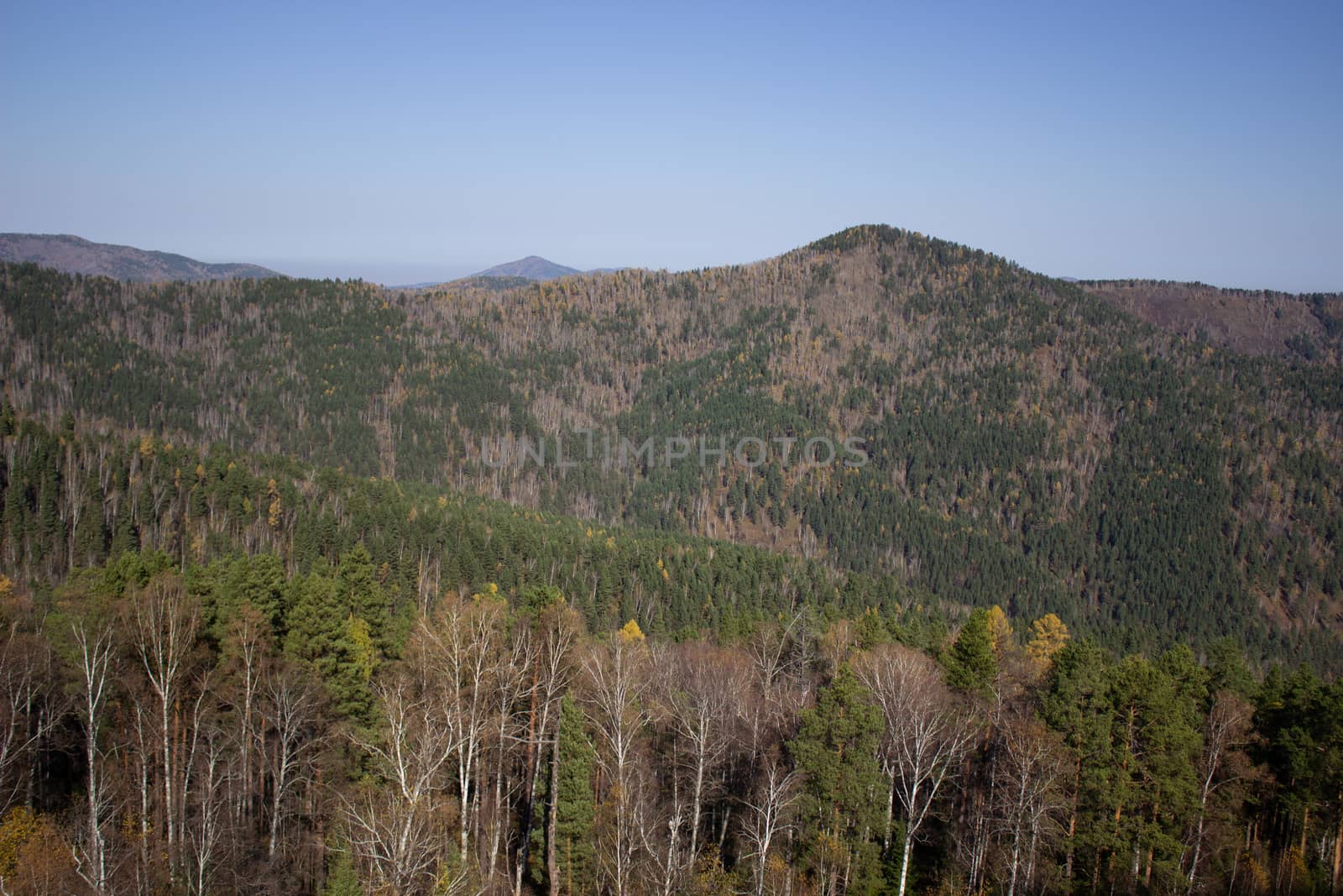 Big forest mountain valley from above. Hiking in the mountains.