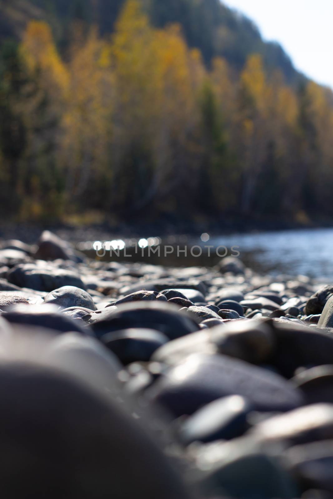 Abstract natural banner of colorful pastel colored pebbles background from seashore or river bank on vintage style. Decorative sands stones