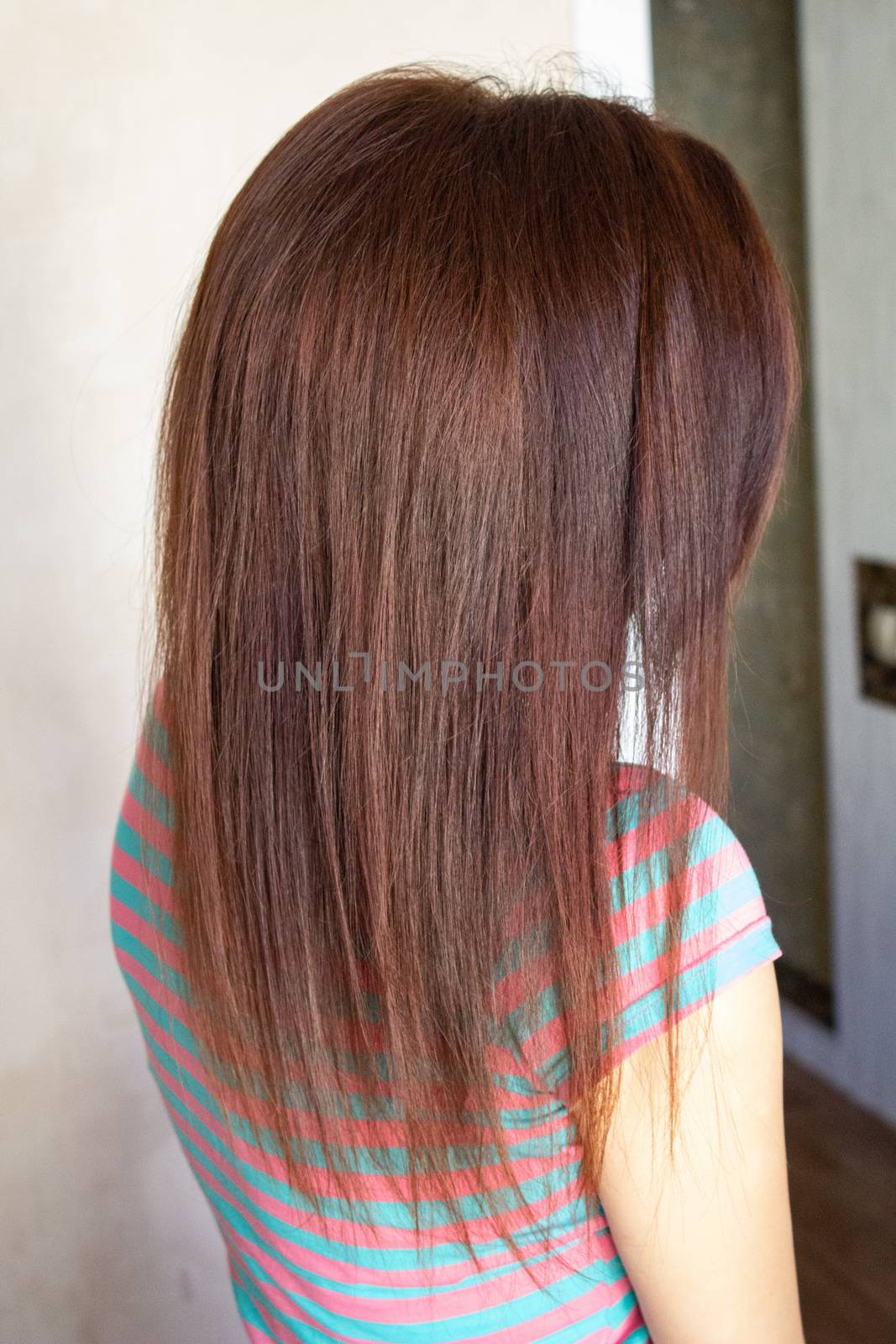 Woman's long straight chestnut hair.