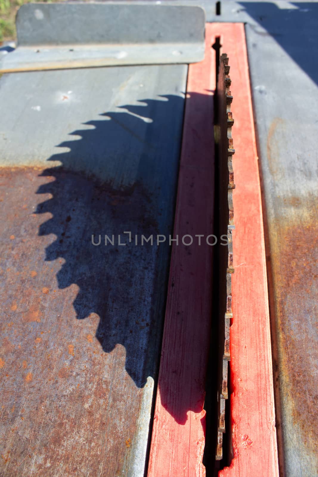 Round saw with teeth in the machine and its shadow.