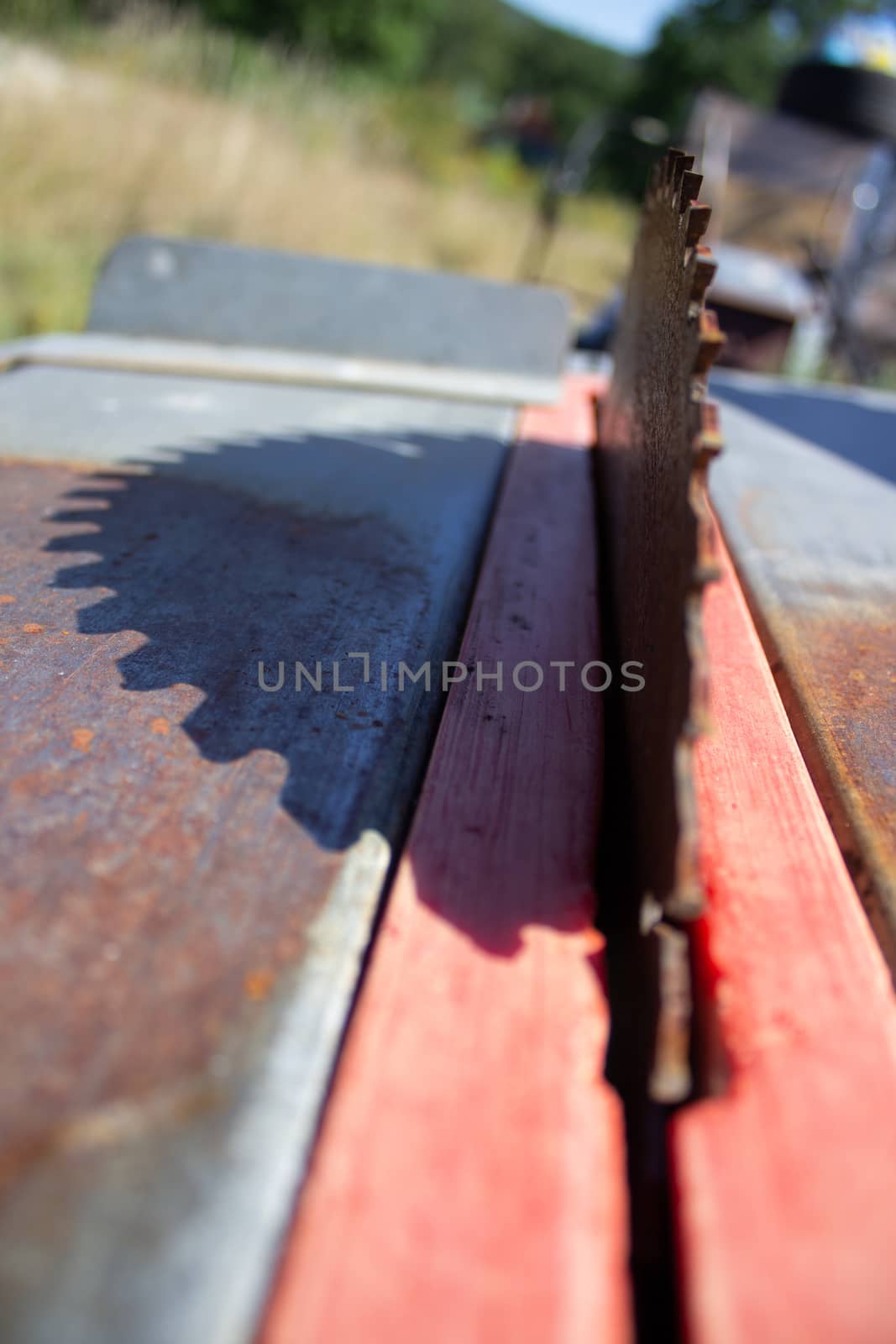 Round saw with teeth in the machine and its shadow.