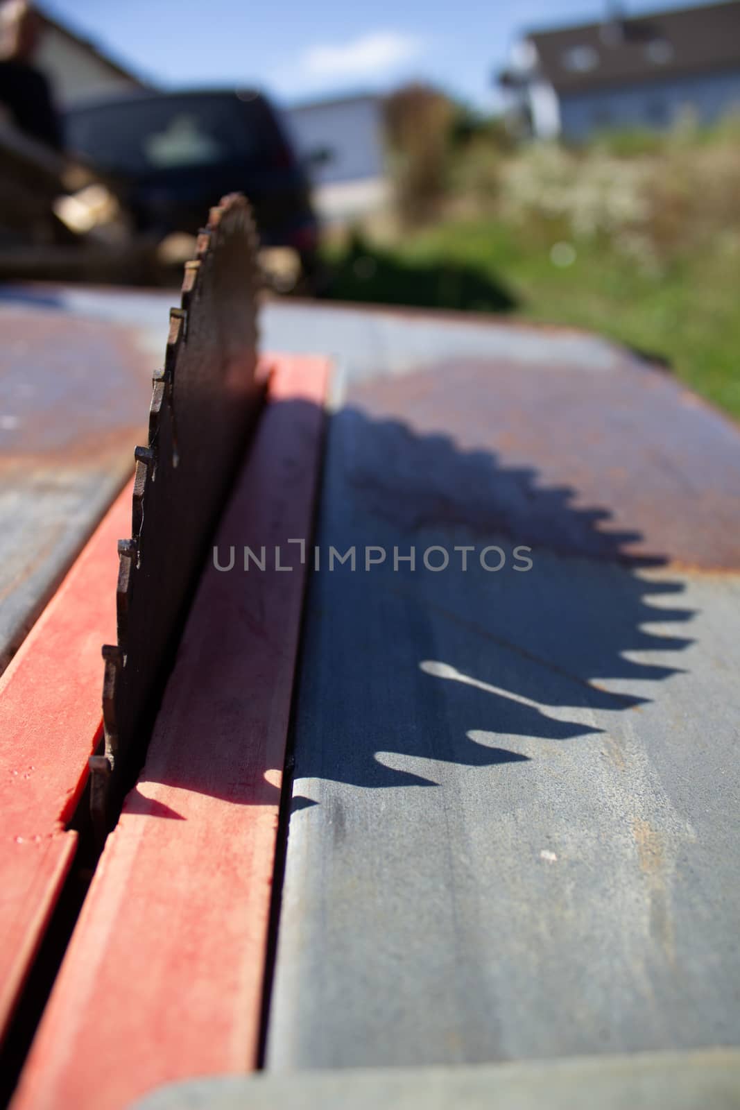 Round saw with teeth in the machine and its shadow.