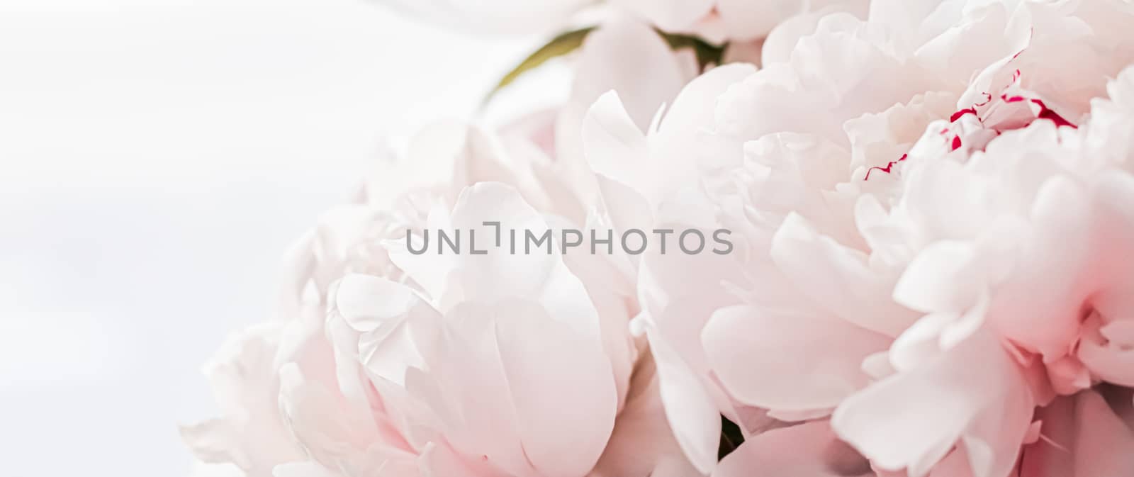 Bouquet of peony flowers as luxury floral background, wedding decoration and event branding design