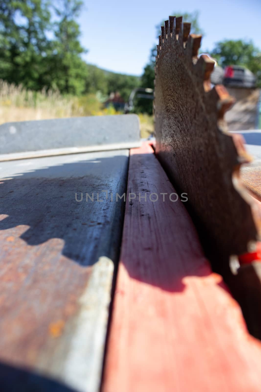 Round saw with teeth in the machine and its shadow by AnatoliiFoto