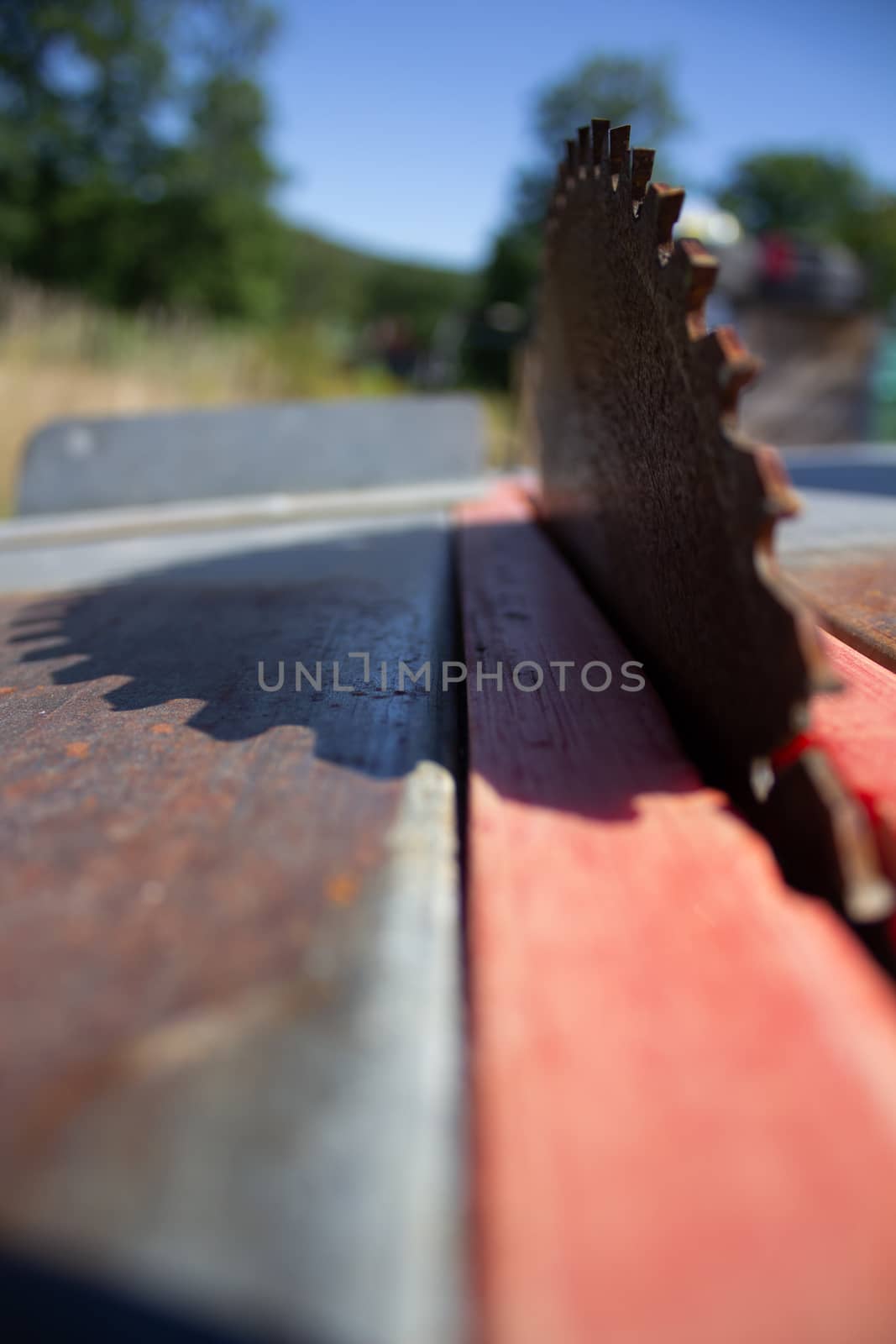 Round saw with teeth in the machine and its shadow by AnatoliiFoto