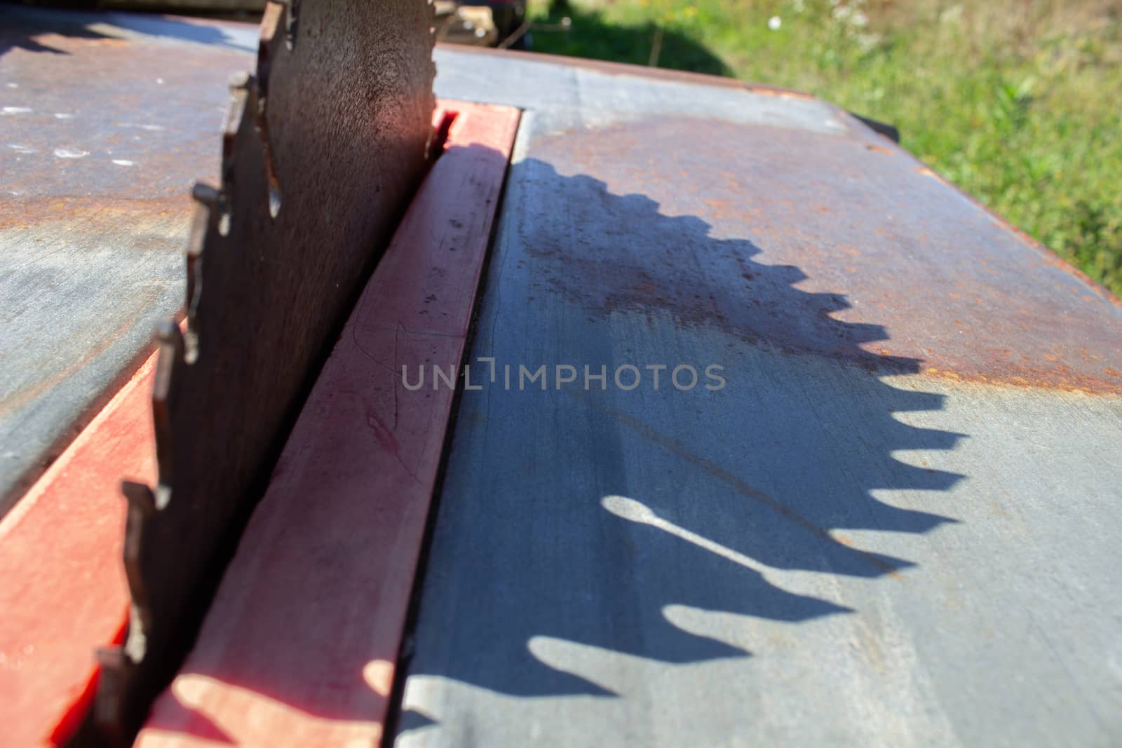 Round saw with teeth in the machine and its shadow.