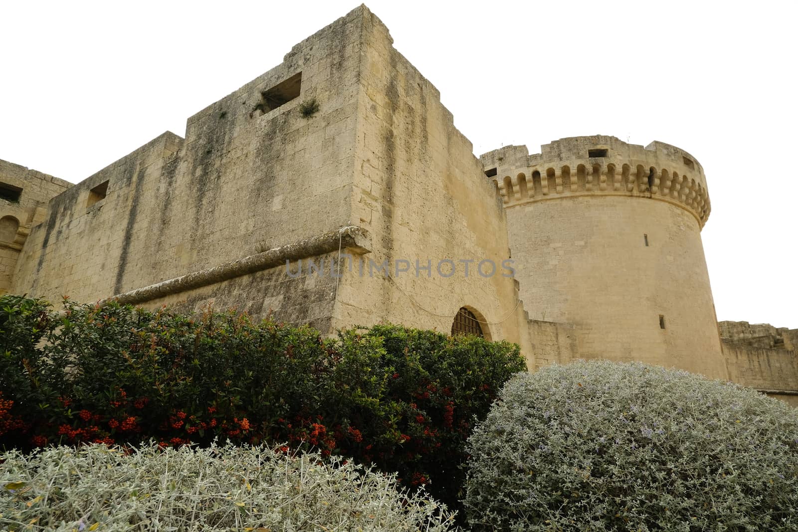 Tower of the Tramontano di Matera castle built in stone. In the foreground, olive-tree bushes pruned with a sphere.