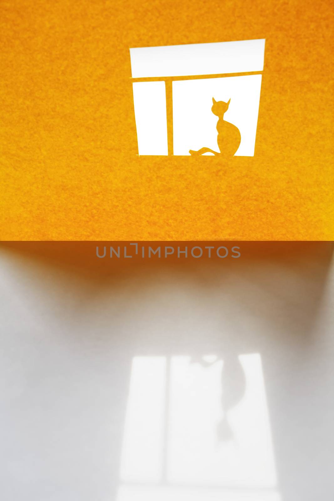 Composition cutting from yellow paper. Alone cat on the  window