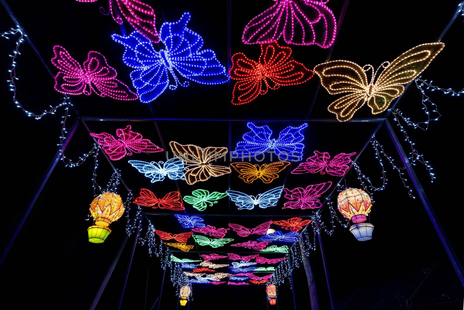 Up view of illuminated butterflies forming a illuminated corridor or pathway in the dark night