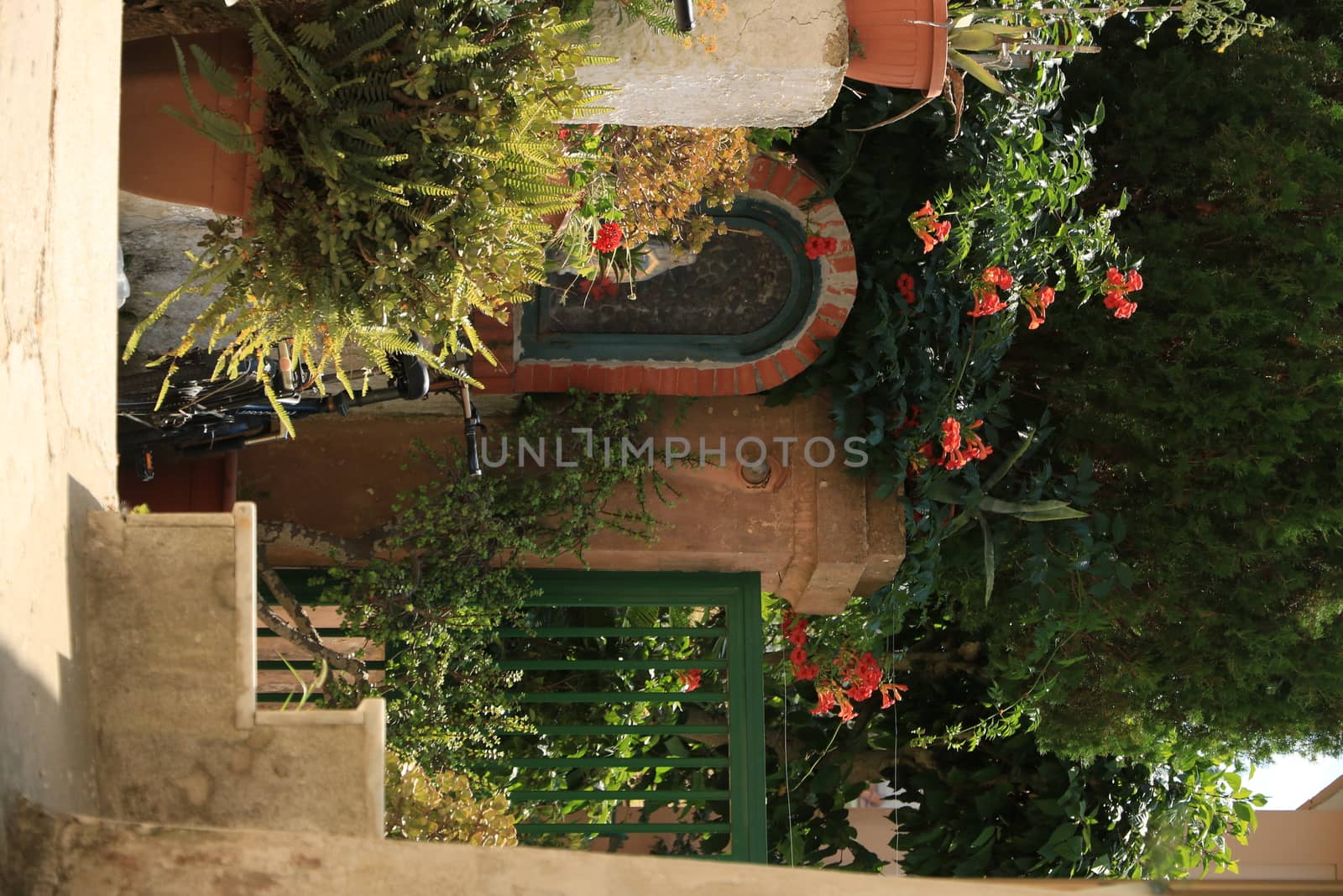 Courtyard of a Mediterranean garden on Procida Island. Red flowers of bignonia. and marble bathtub.