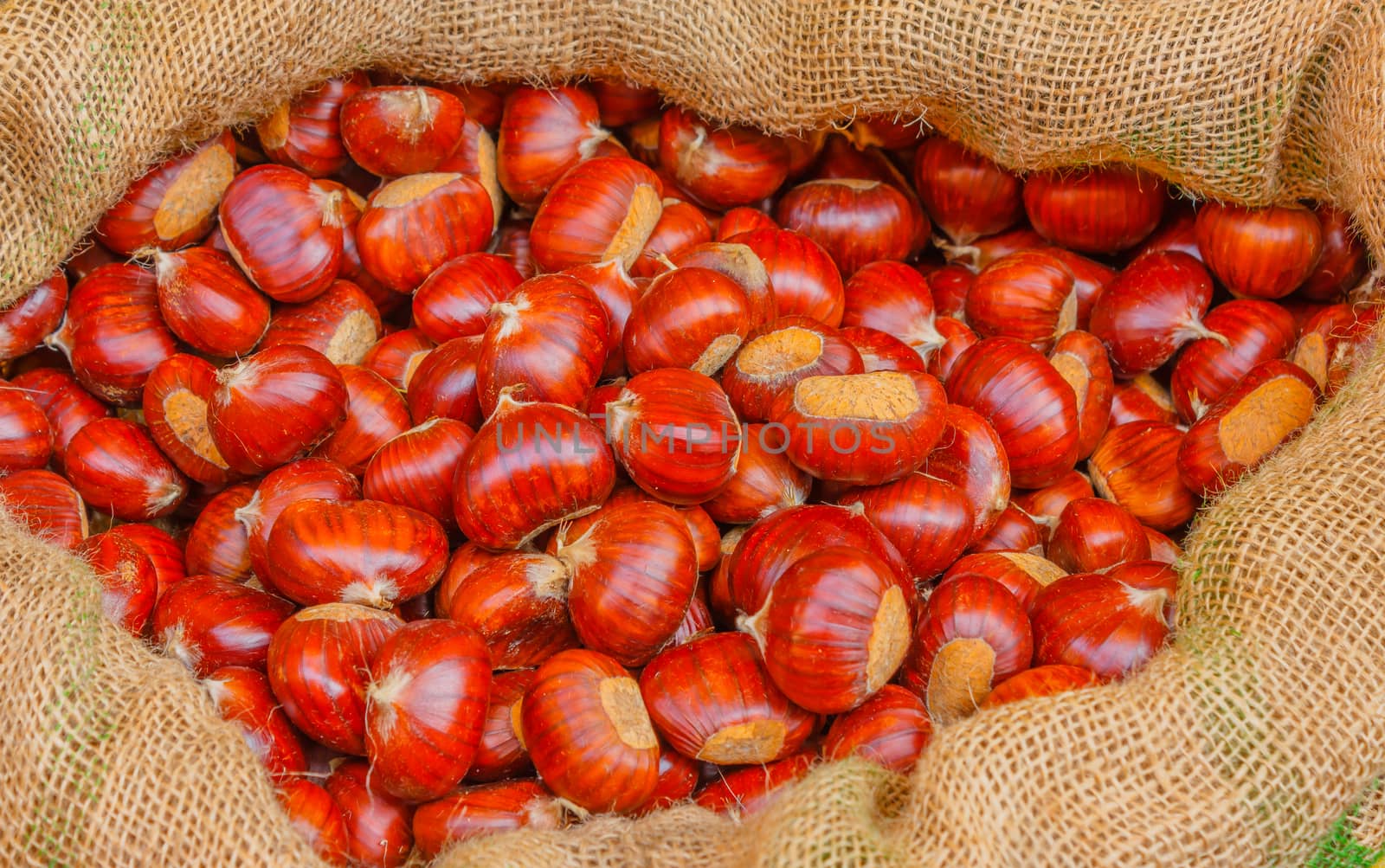 the famous chestnuts of the valley of Susa ,in Piedmont,Italy,in a jute bag by moorea
