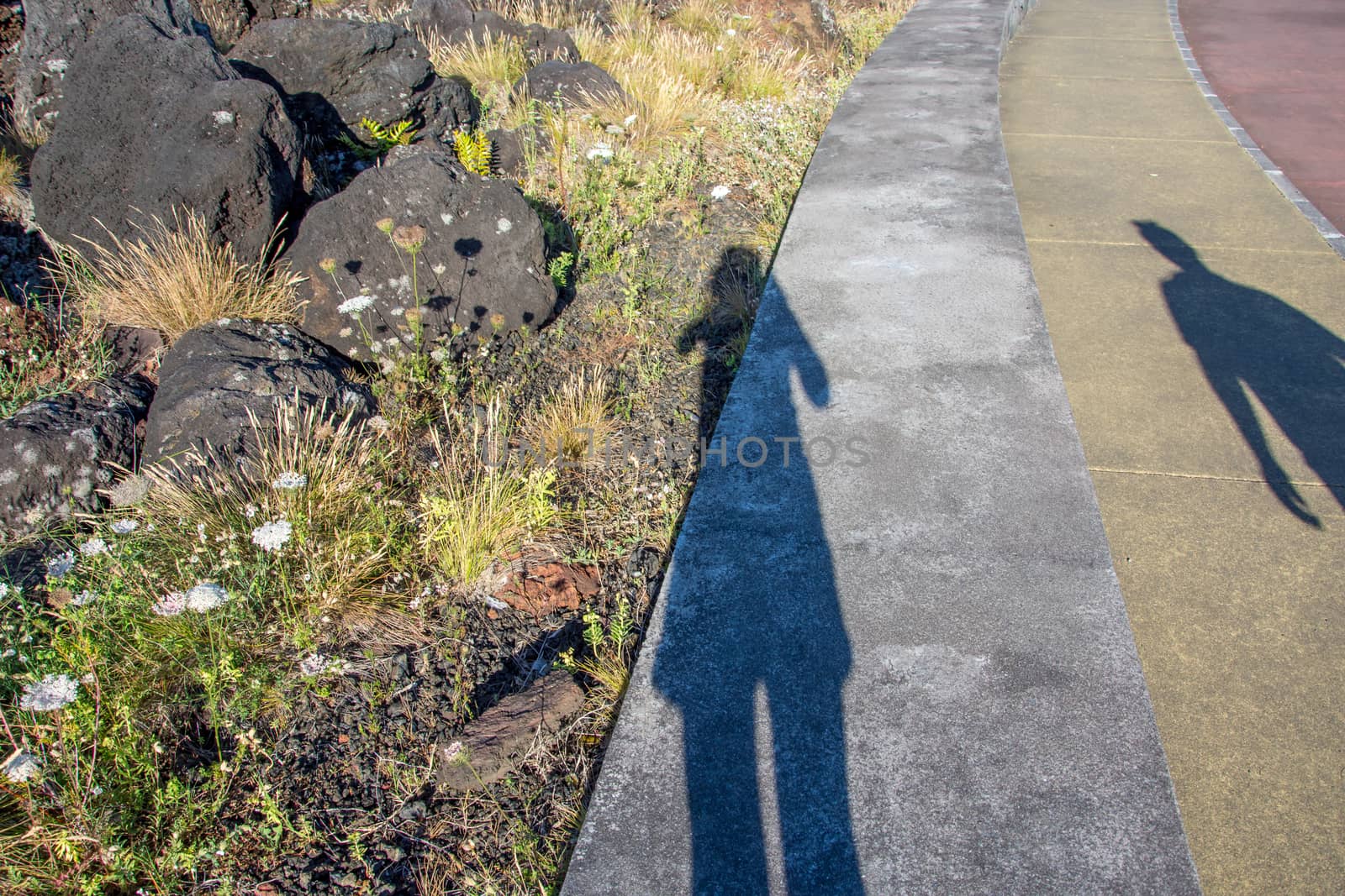 Walk on the Azores archipelago. Discovery of the island of Pico, Azores. Portugal. Madalena