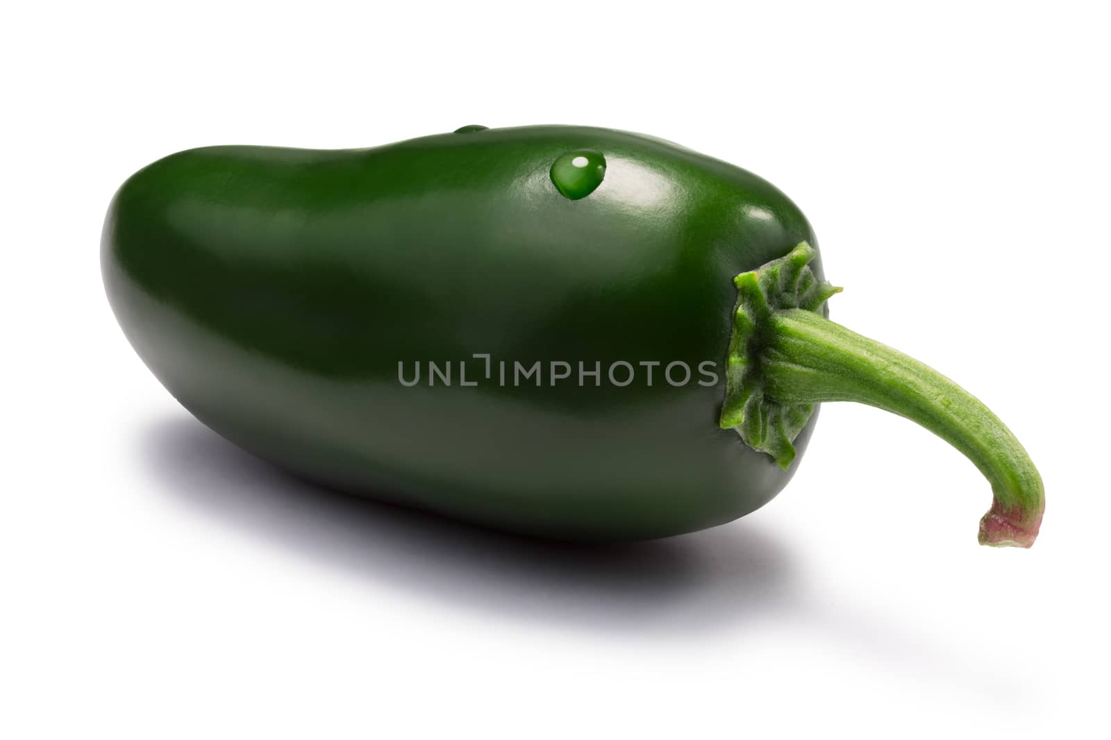 Green TAM Mild Jalapeno. Clipping paths, shadows separated, infinite depth of field. Design element