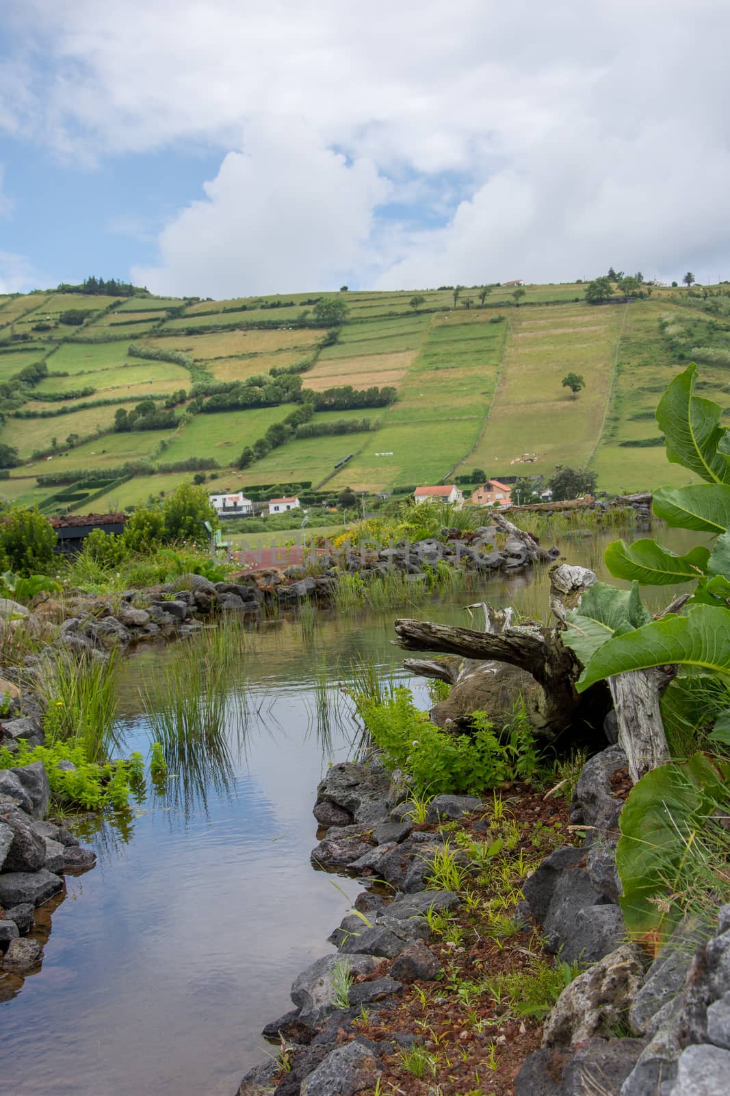 Walk on the Azores archipelago. Discovery of the island of Faial, Azores. Portugal , Horta