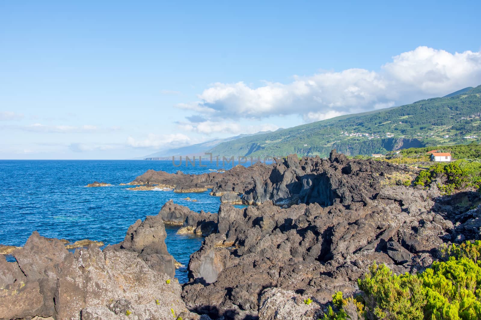 Walk on the Azores archipelago. Discovery of the island of Pico, Azores. Portugal. Madalena