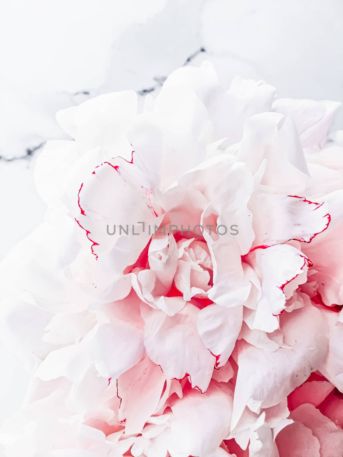 Bouquet of peony flowers on luxury marble background, wedding flatlay and event branding by Anneleven