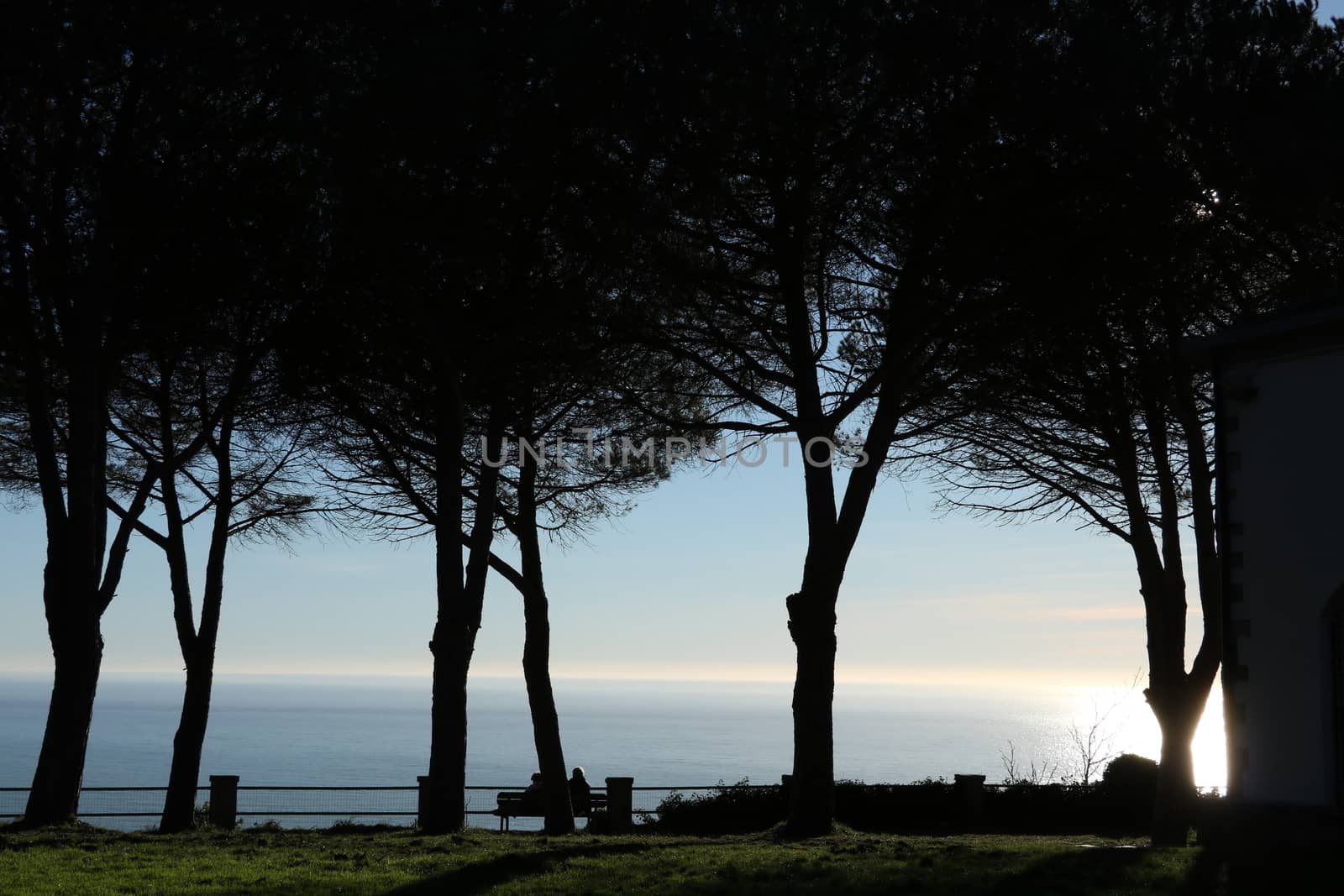 Panorama of the Cinque Terre sea seen from the hill of the sanctuary of Soviore. Silouette of pines and deu people sitting on a bench.