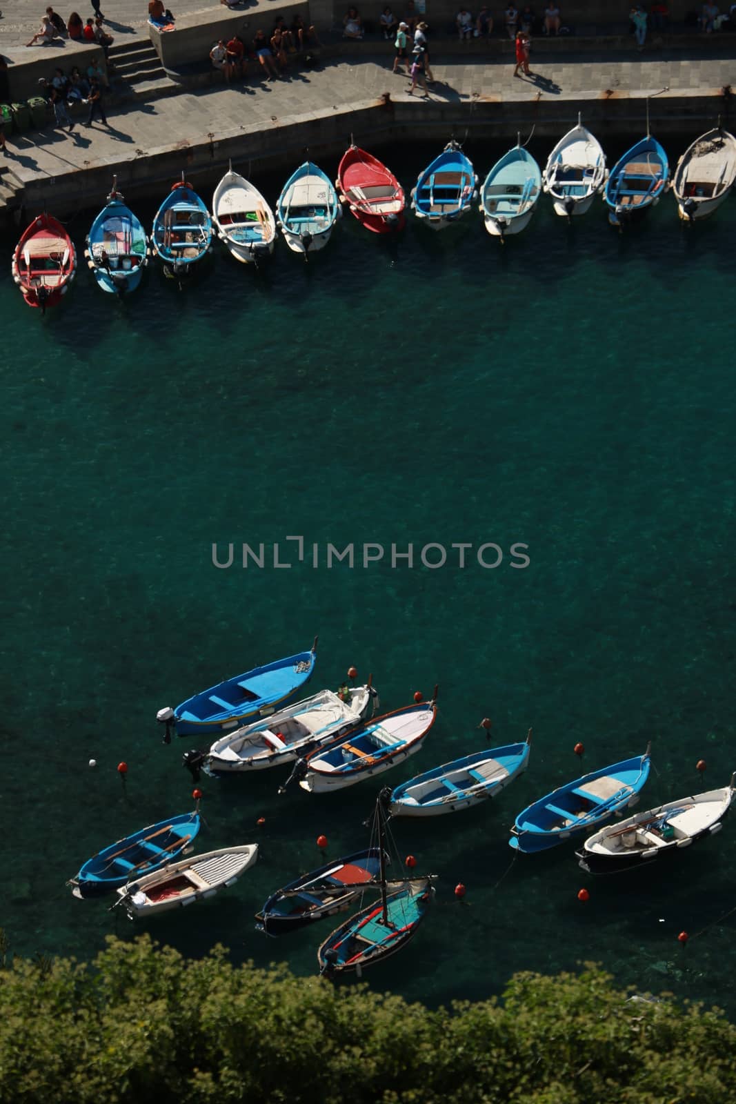 Typical colored fishing boats, Gozzo type, anchored in the harbo by Paolo_Grassi