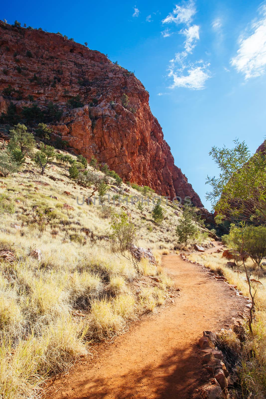 The iconic Simpsons Gap and its fascinating rock formations in MacDonnell Ranges National Park, near Alice Springs in the Northern Territory, Australia
