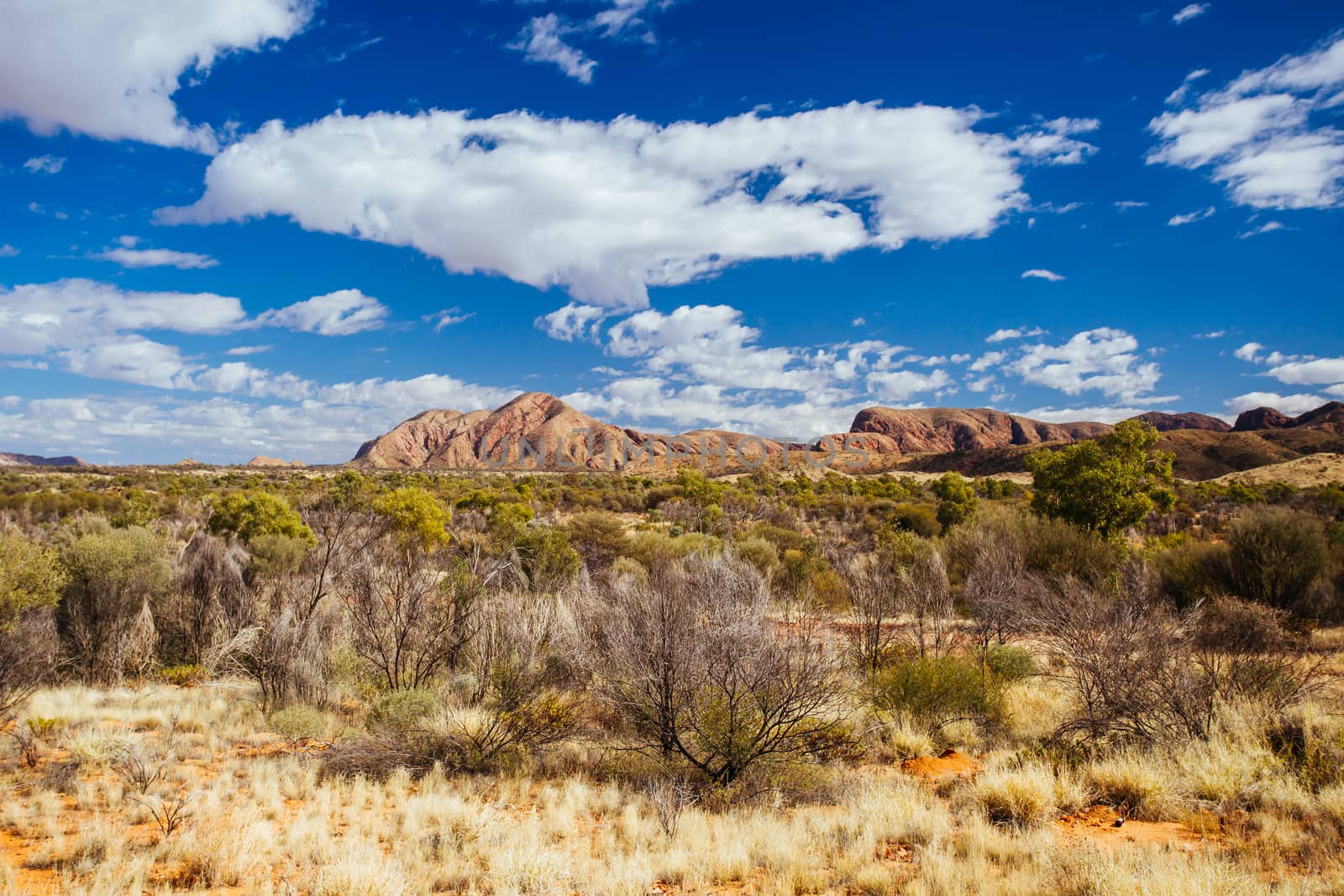 West MacDonnell Ranges View in Australia by FiledIMAGE