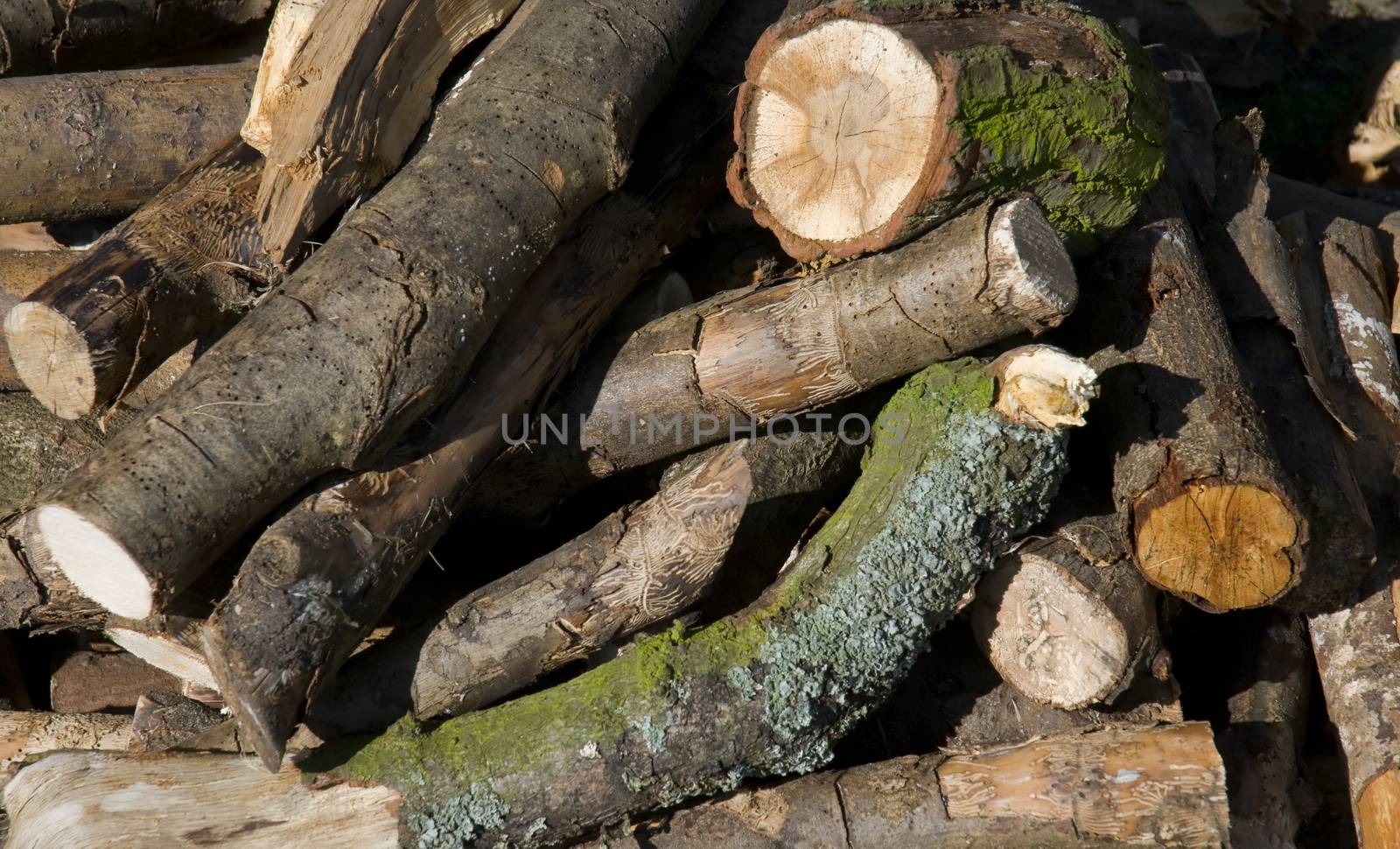 A pile of logs ready for fire wood by TimAwe