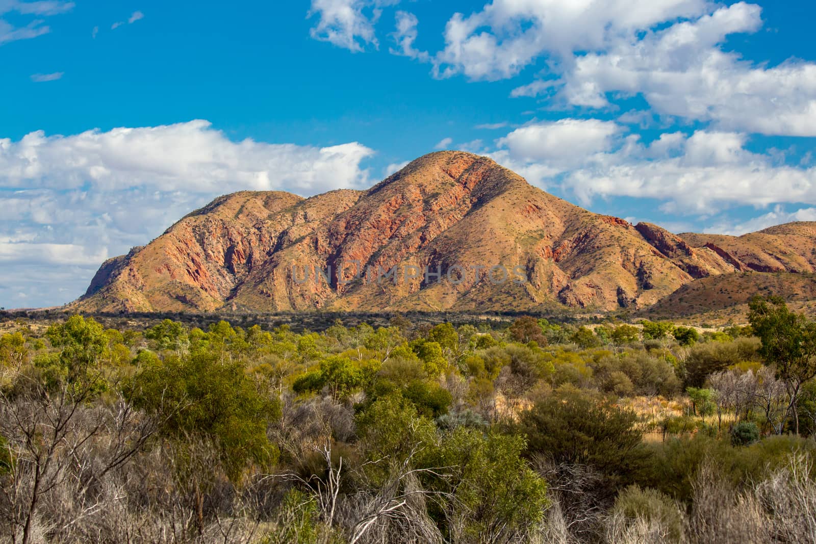 West MacDonnell Ranges View in Australia by FiledIMAGE