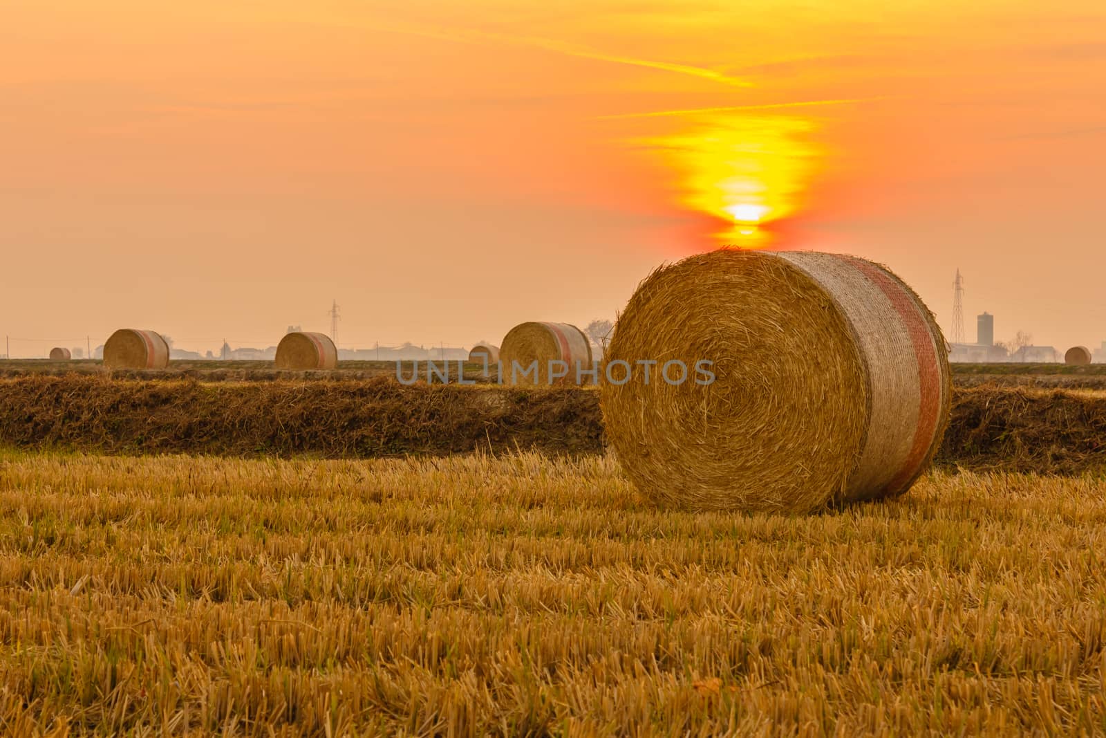 close-up of a hay cylindrical bale in a farmland by grancanaria