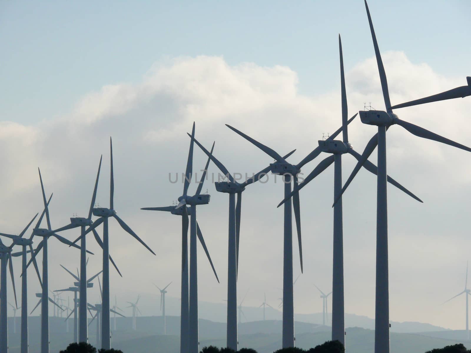 A dense forest of wind generators.