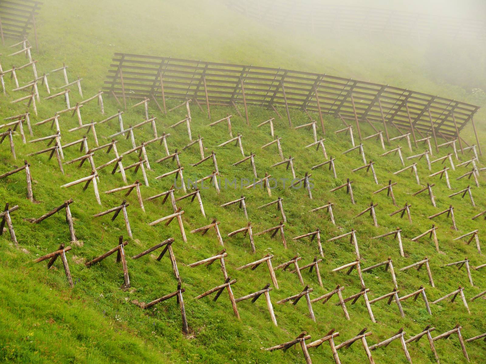 Avalanche systems made of wood.