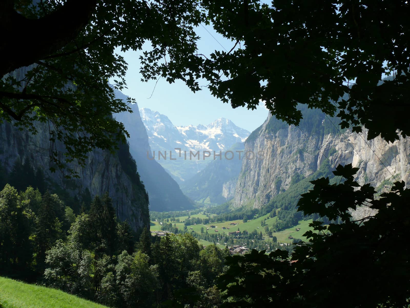 View of the valley taken from the path that leads from Grindelwald to Wengen.