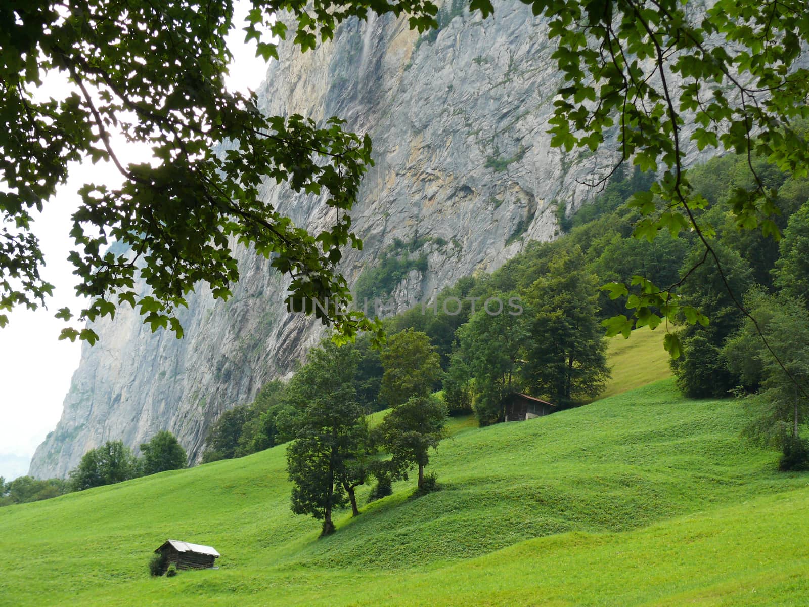 A hut dispersed in a green meadow in the Swiss mountains.