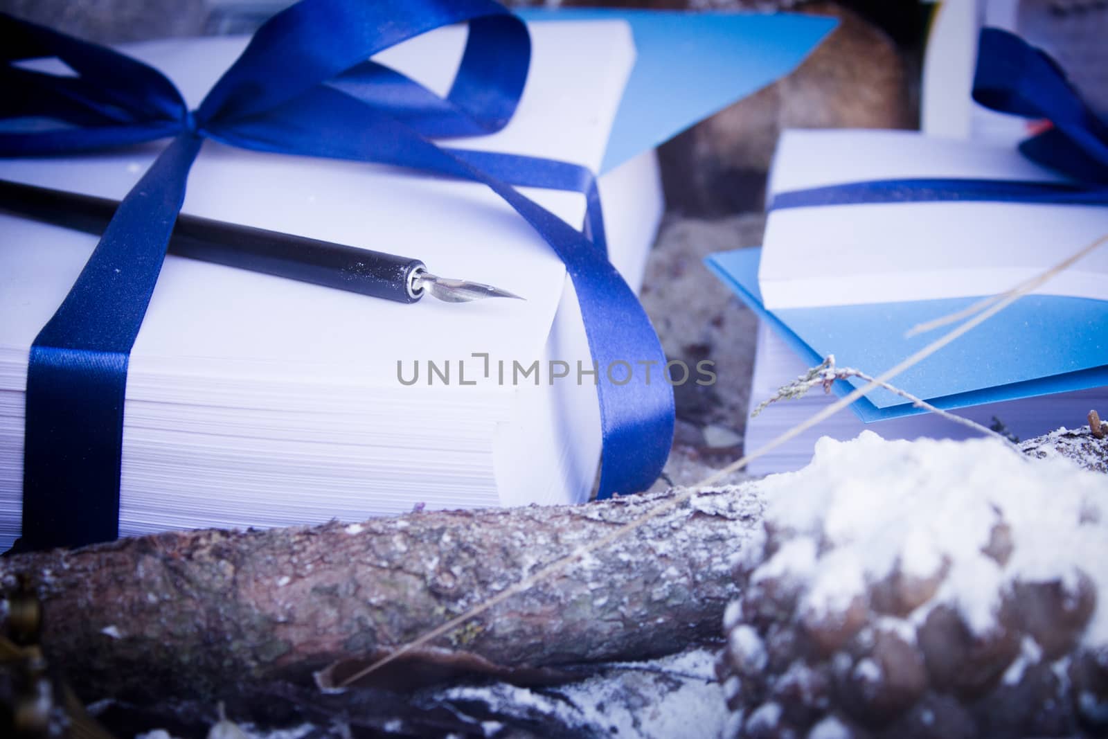 Writing pen on leaves wrapped in a blue bow