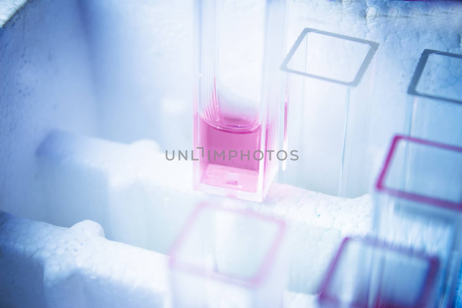 Test tubes in laboratory for covid19 by GemaIbarra