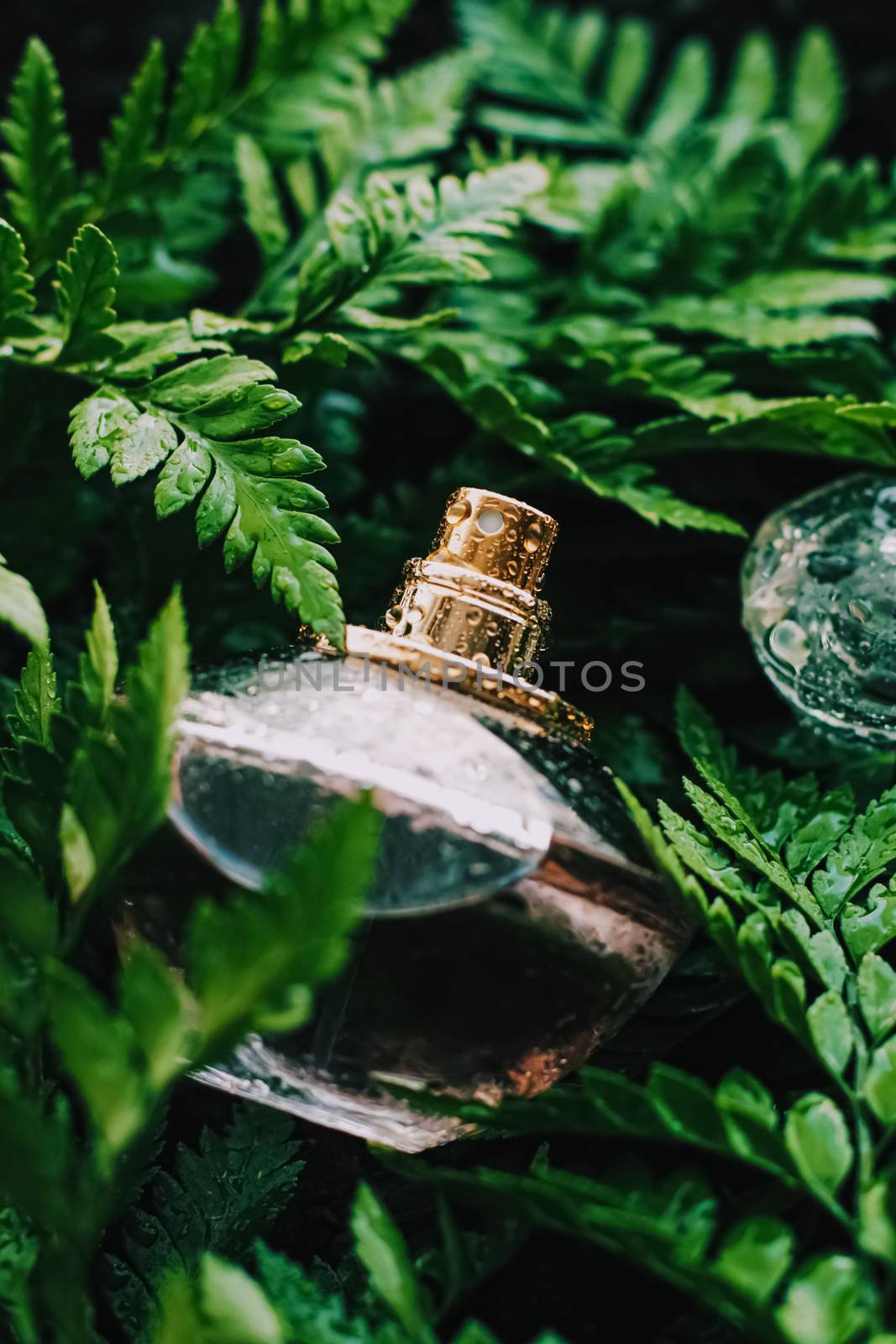 Perfume bottle with aromatic tropical scent in nature, luxury summer fragrance