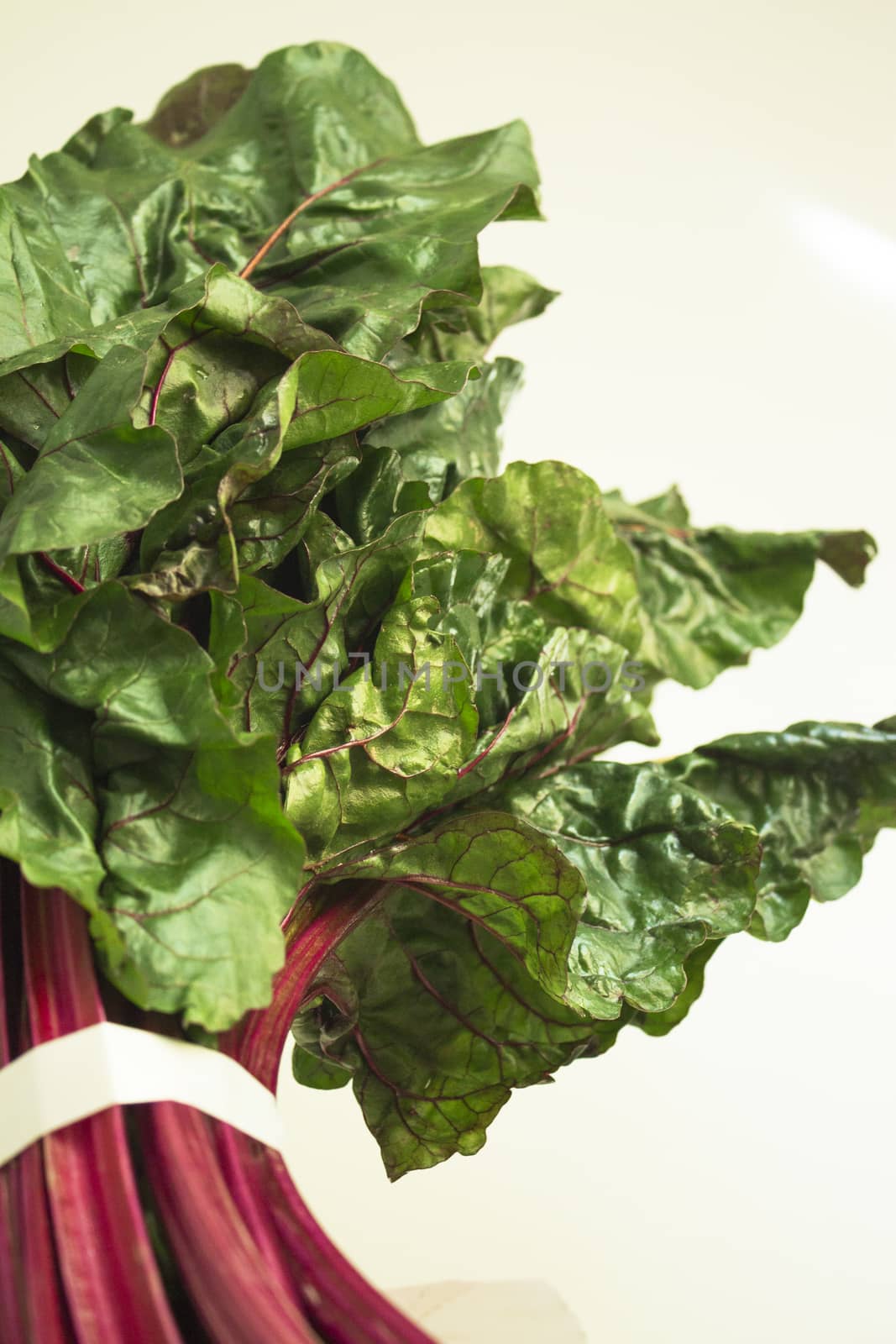 Fresh red chard without cooking. Healthy food for vegetarians and vegans