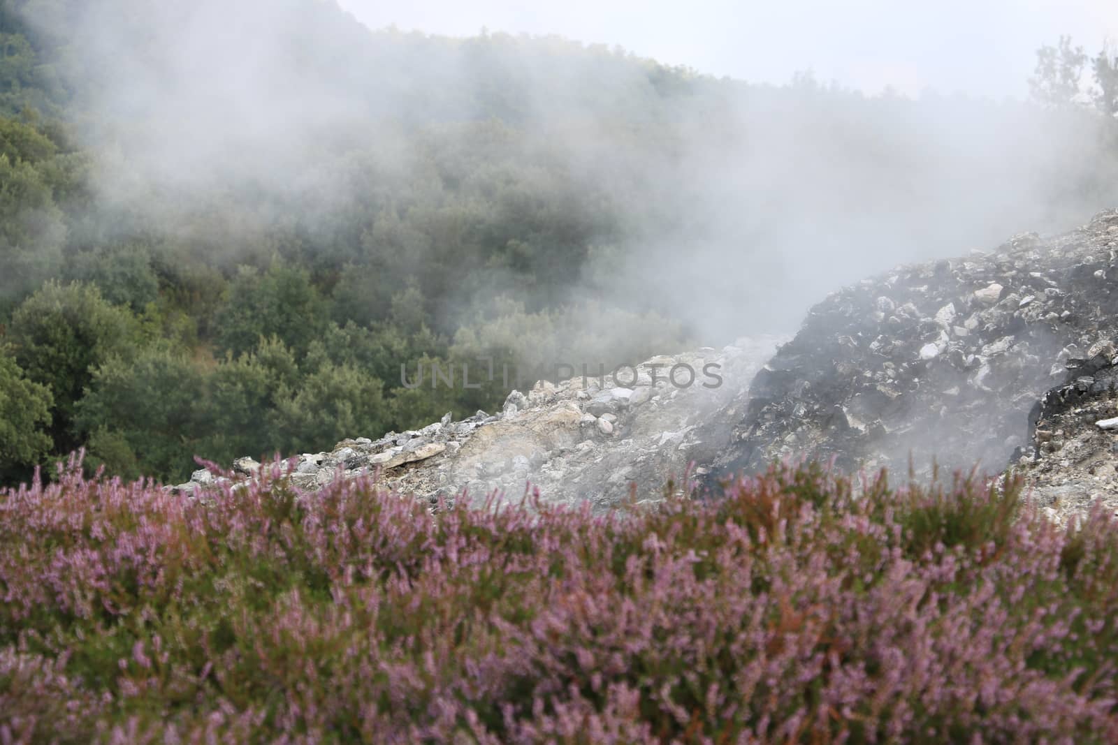 Volcanic fumaroles in the geothermal field. Jets of steam come o by Paolo_Grassi