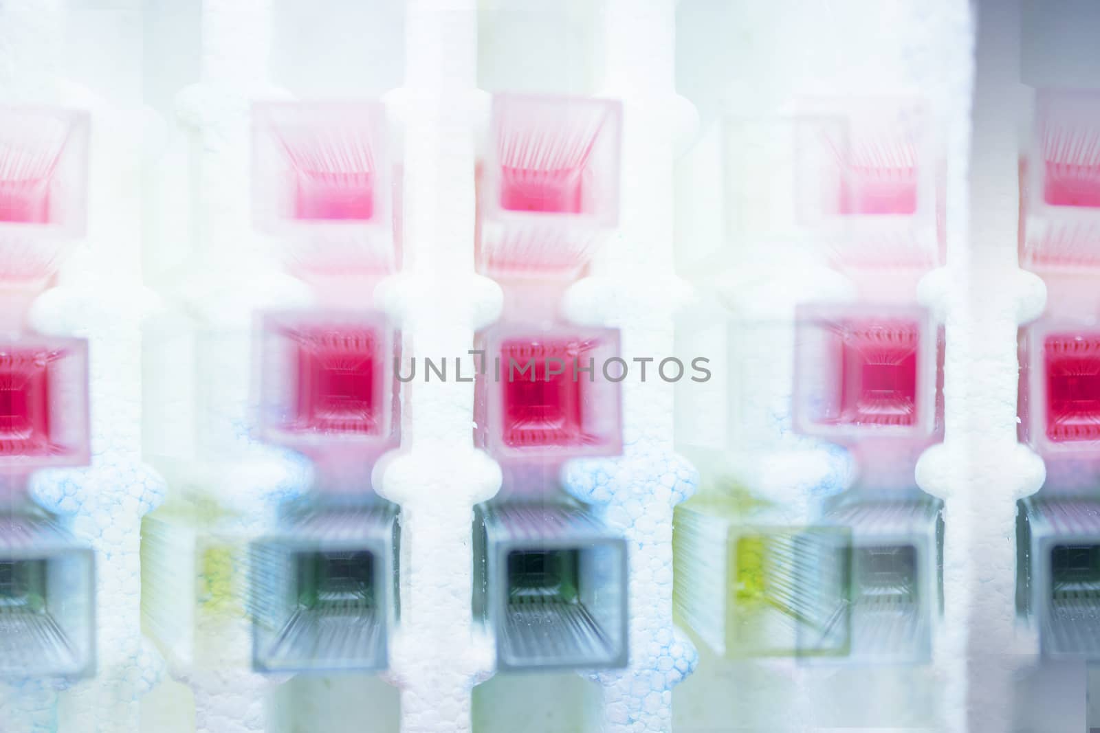 Reactive tests in the laboratory. Virus.
