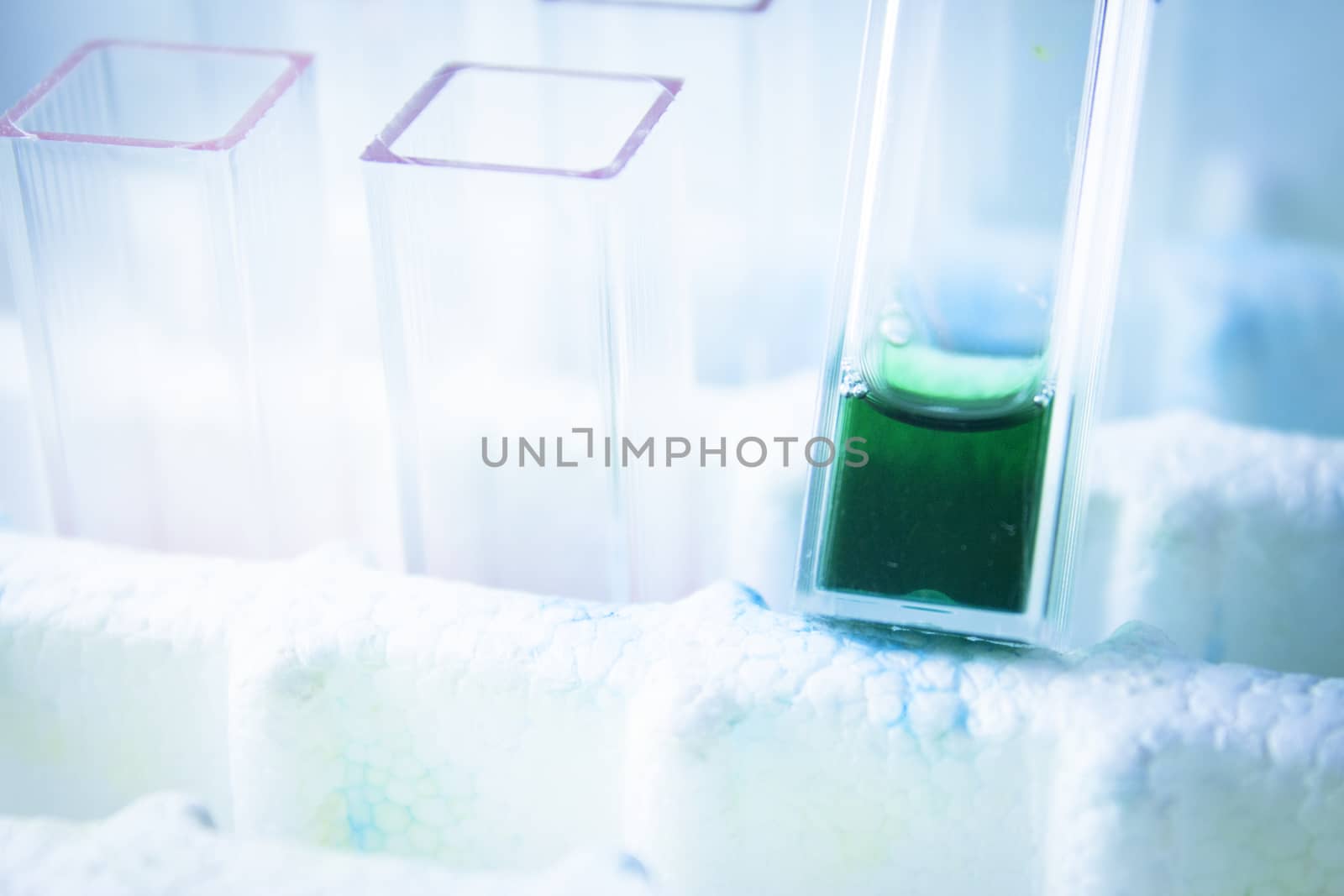 Reactive tests in the laboratory. Virus.