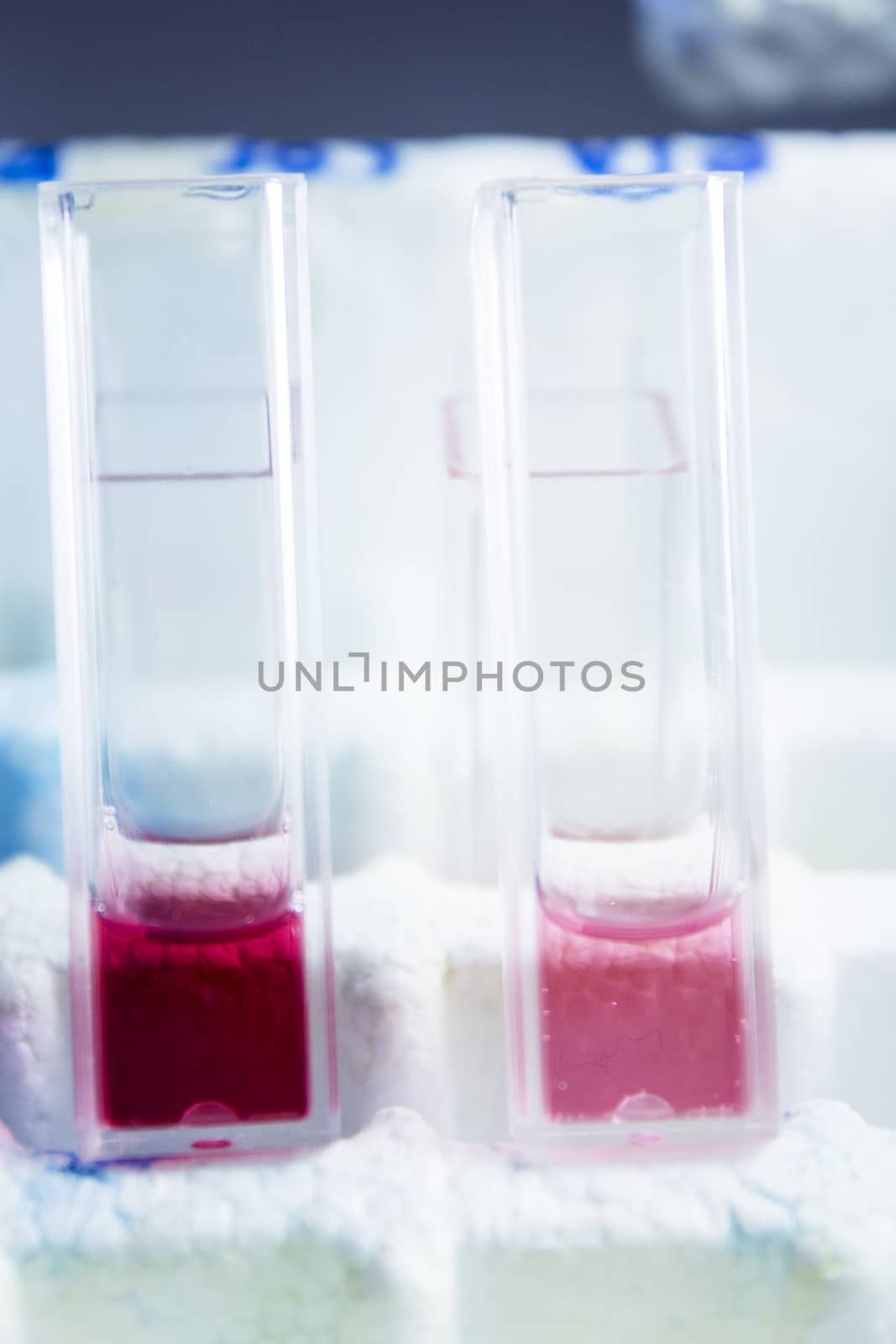 Reactive tests in the laboratory. Virus.