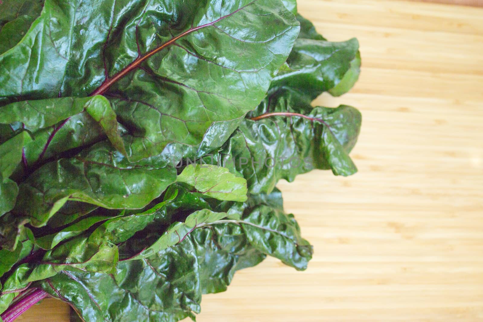 Fresh red chard without cooking. Healthy food for vegetarians and vegans