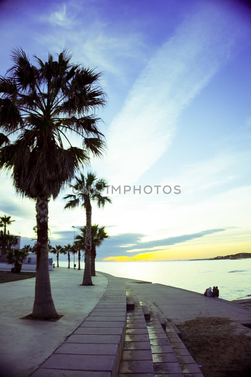 Beautiful sunset on the beach with palm trees. No people