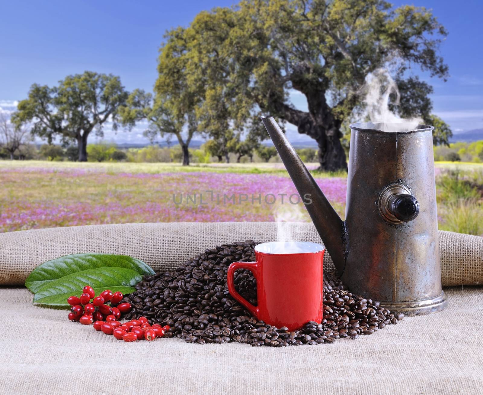 Coffee cup with beans and old pot.