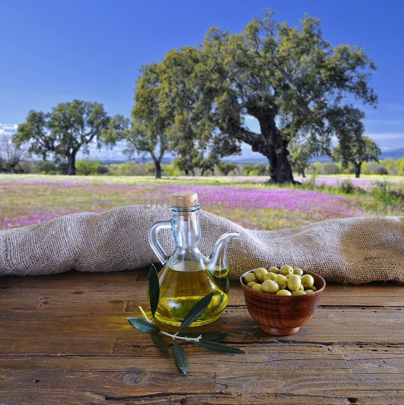 Olive oil. by CreativePhotoSpain