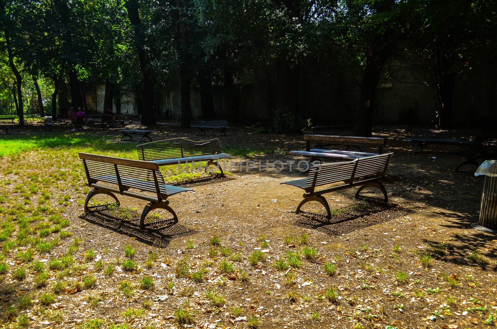 Recreation area with benches in the park