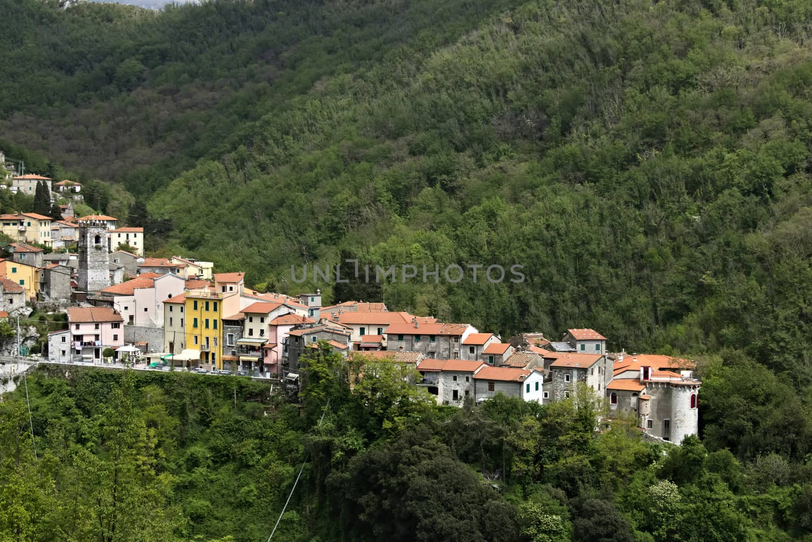 Colonnata, Carrara, Tuscany, Italy. View of the town of Colonnata, famous for the production of lard.The walls of the houses in stone and white Carrara marble. Woods background. Northern Tuscany.