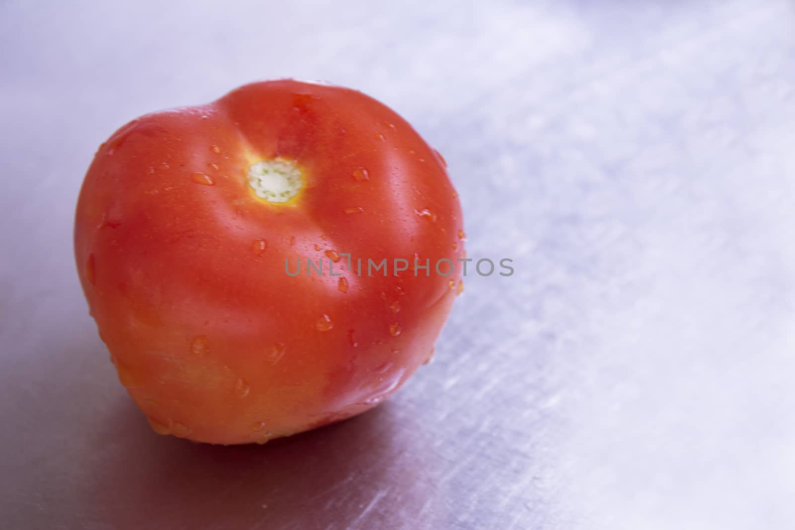 Freshly washed salad tomato. No people