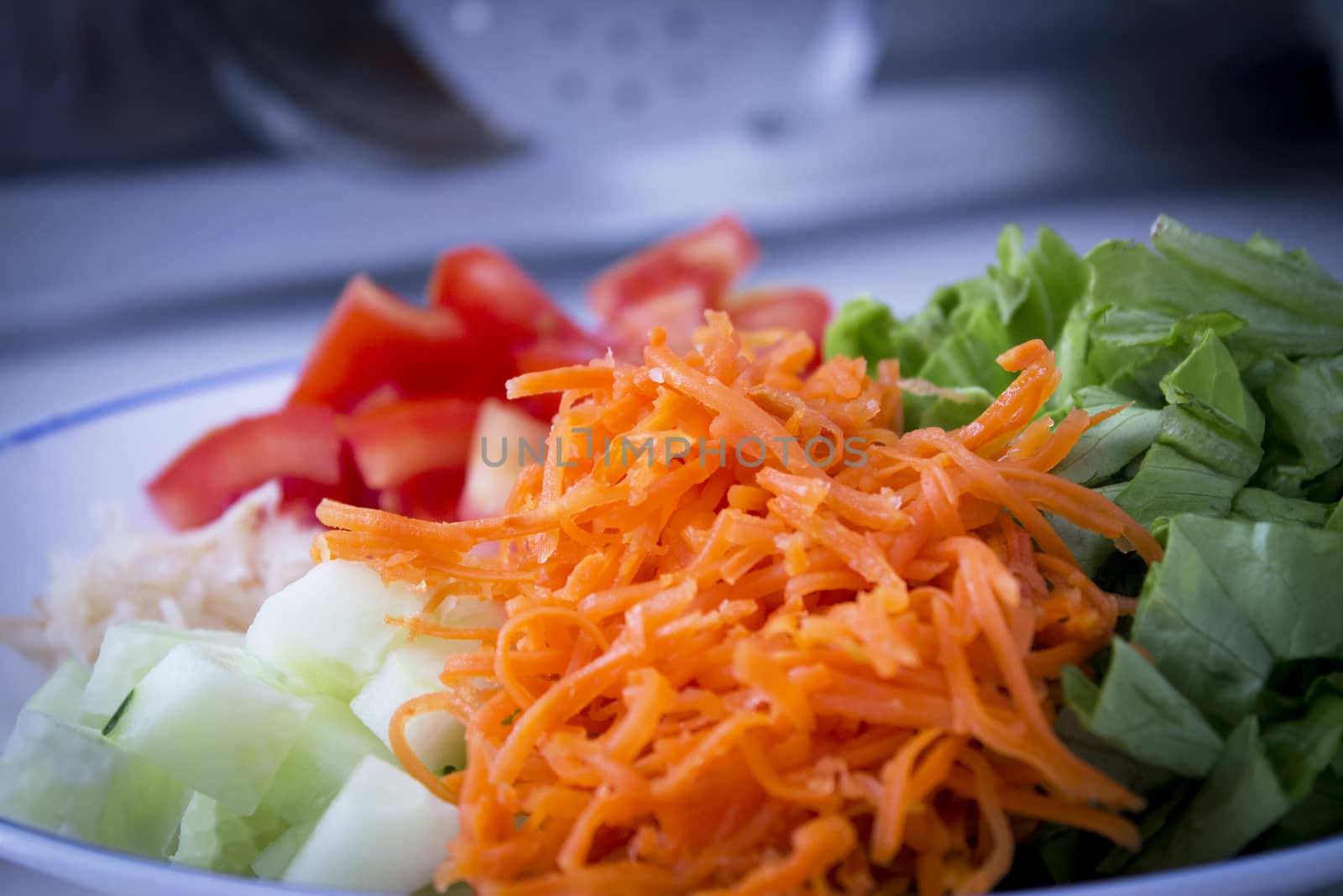 Lettuce, carrot, cucumber, tomato and onion salad. No people