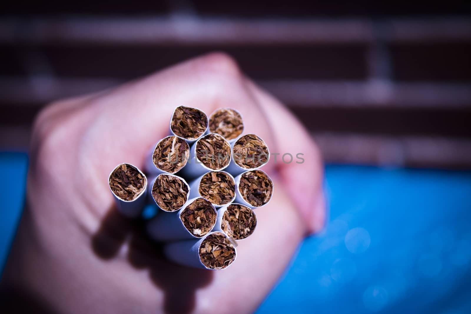 Womans hand holding cigarettes roll on blue background