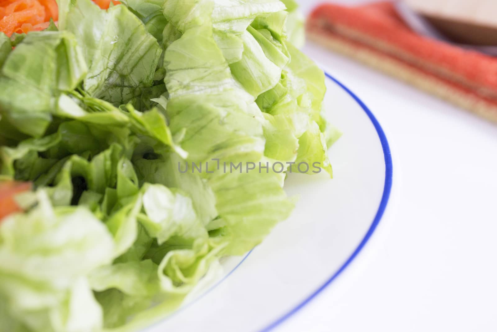 Lettuce, carrot, cucumber, tomato and onion salad. No people