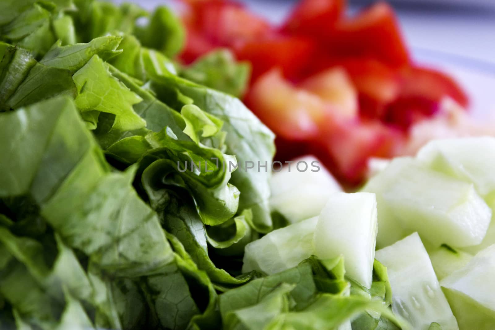 Salad with lettuce, tomato, onion and cucumber. No people
